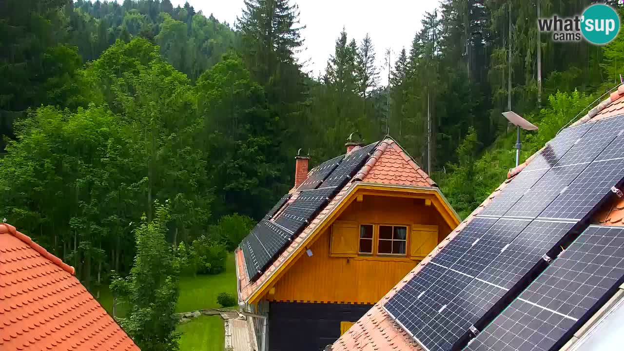 Webcam Lukanja – Water Village | Pohorje Houses