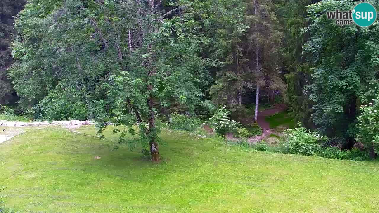 Webcam Lukanja – Water Village | Pohorje Houses