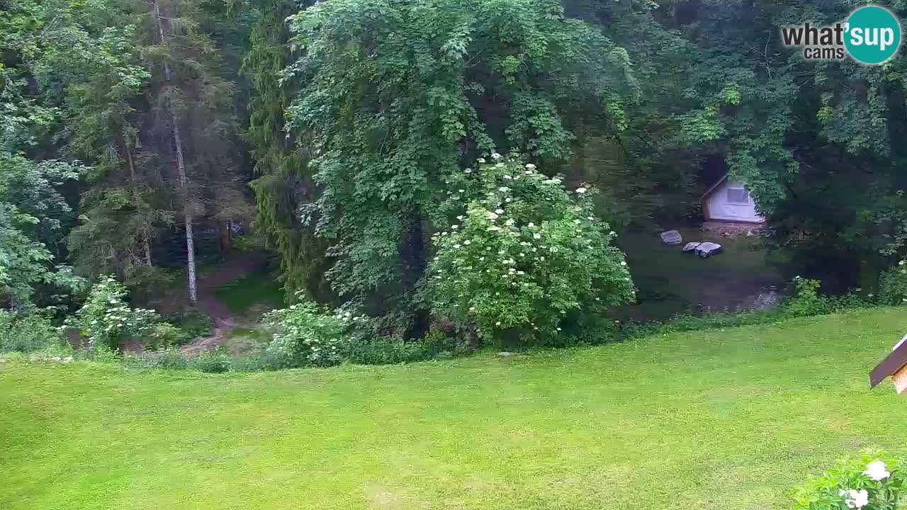 Webcam Lukanja – Water Village | Pohorje Houses