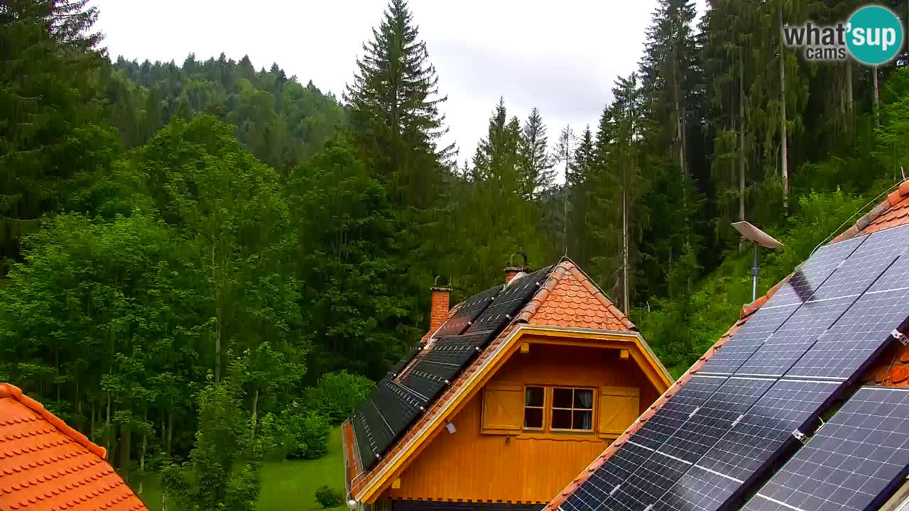 Web kamera Lukanja – Water Village | Pohorje Houses