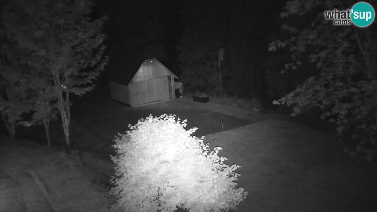 Webcam Lukanja – Water Village | Pohorje Houses