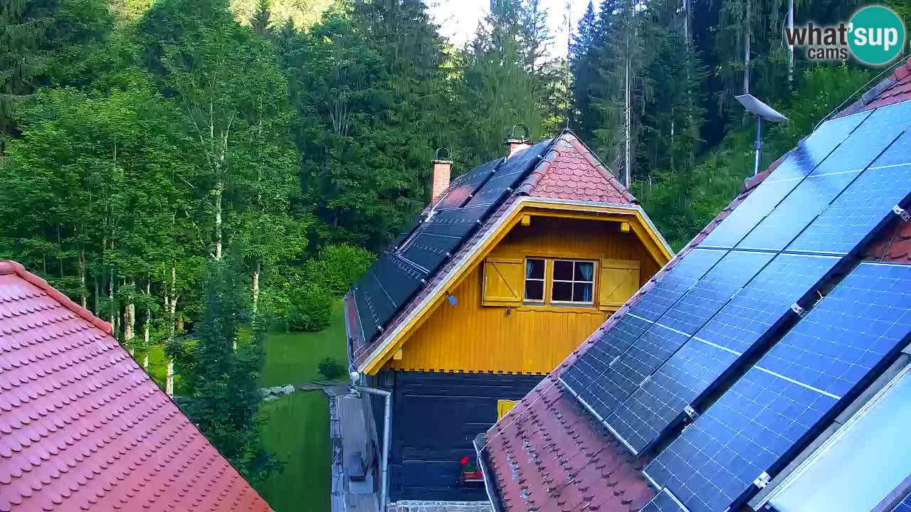 Webcam Lukanja – Pohorje houses a Water village