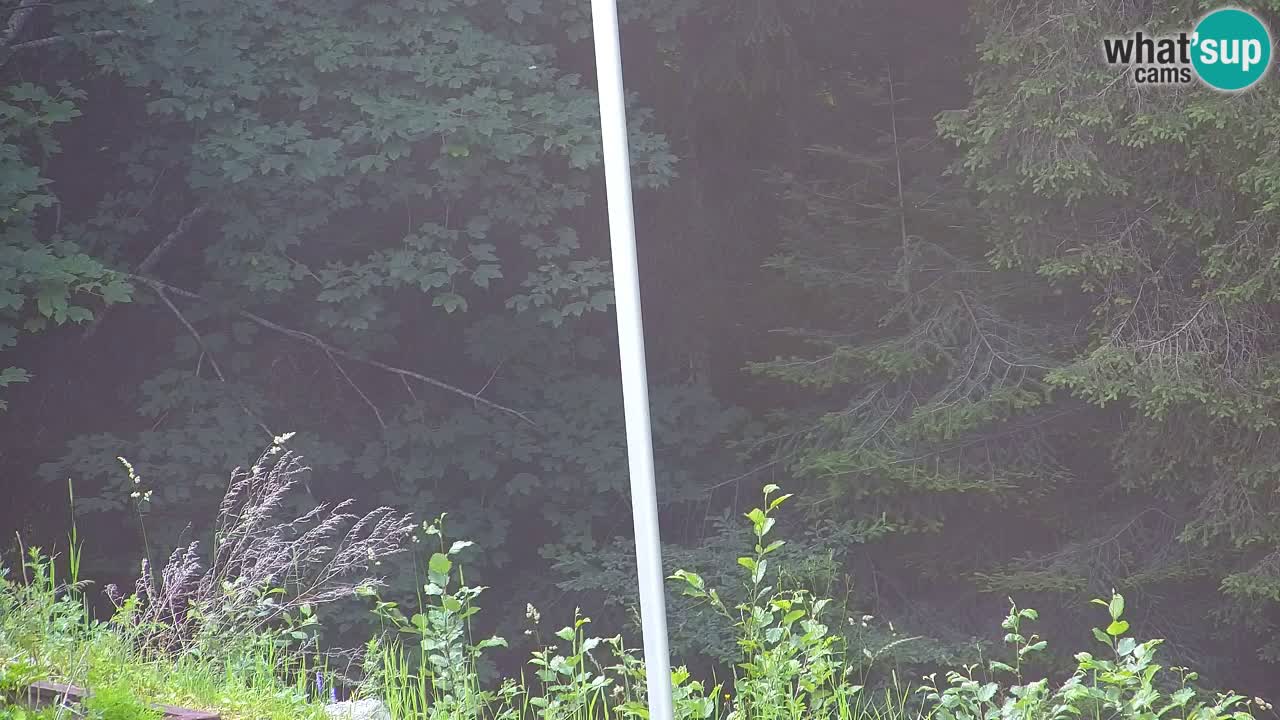 Webcam Lukanja – Pohorje houses a Water village