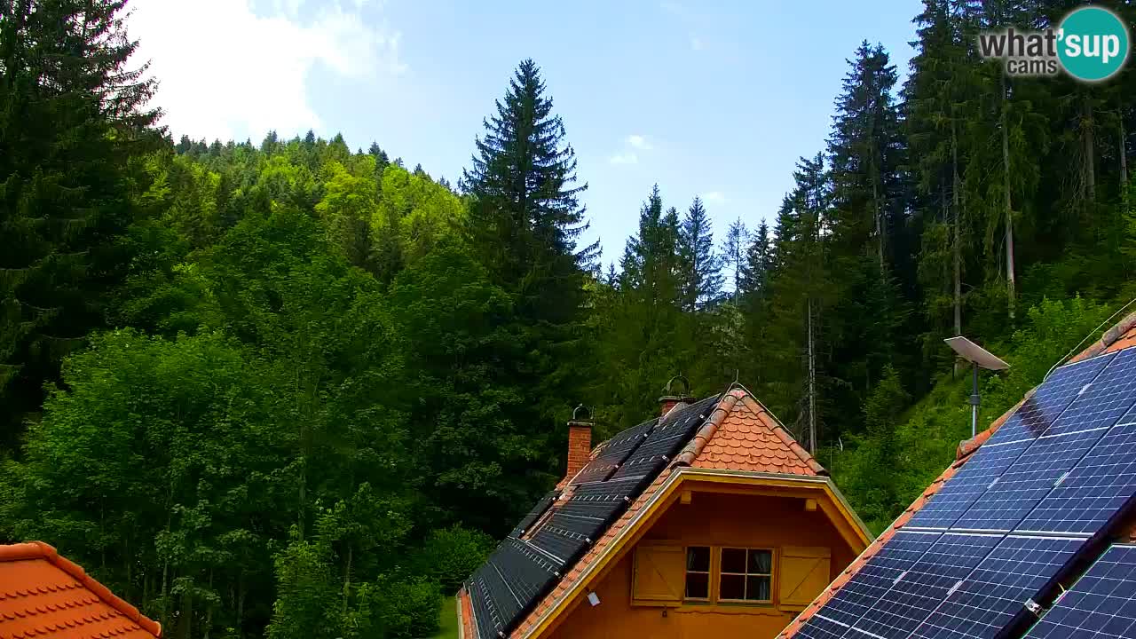 Webcam Lukanja – Water Village | Pohorje Houses