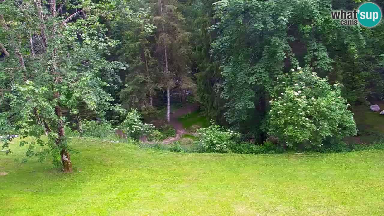 Webcam Lukanja – Water Village | Pohorje Houses