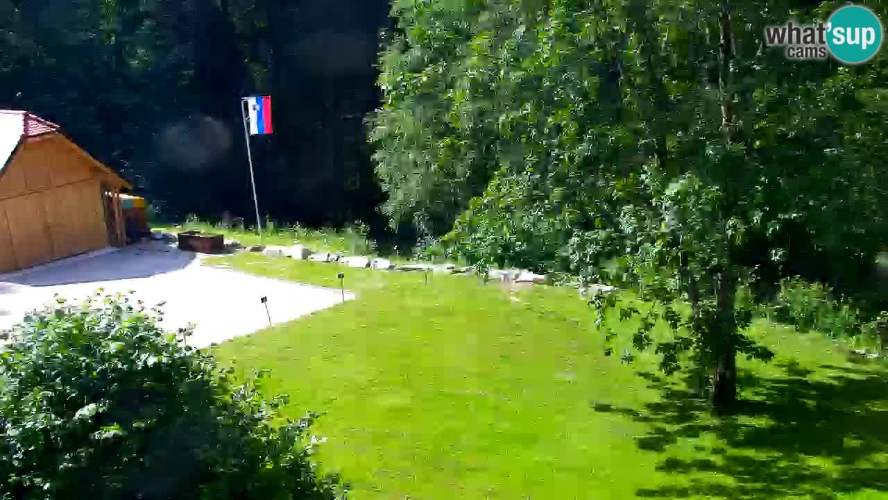 Spletna kamera Lukanja – Water Village | Pohorje Houses