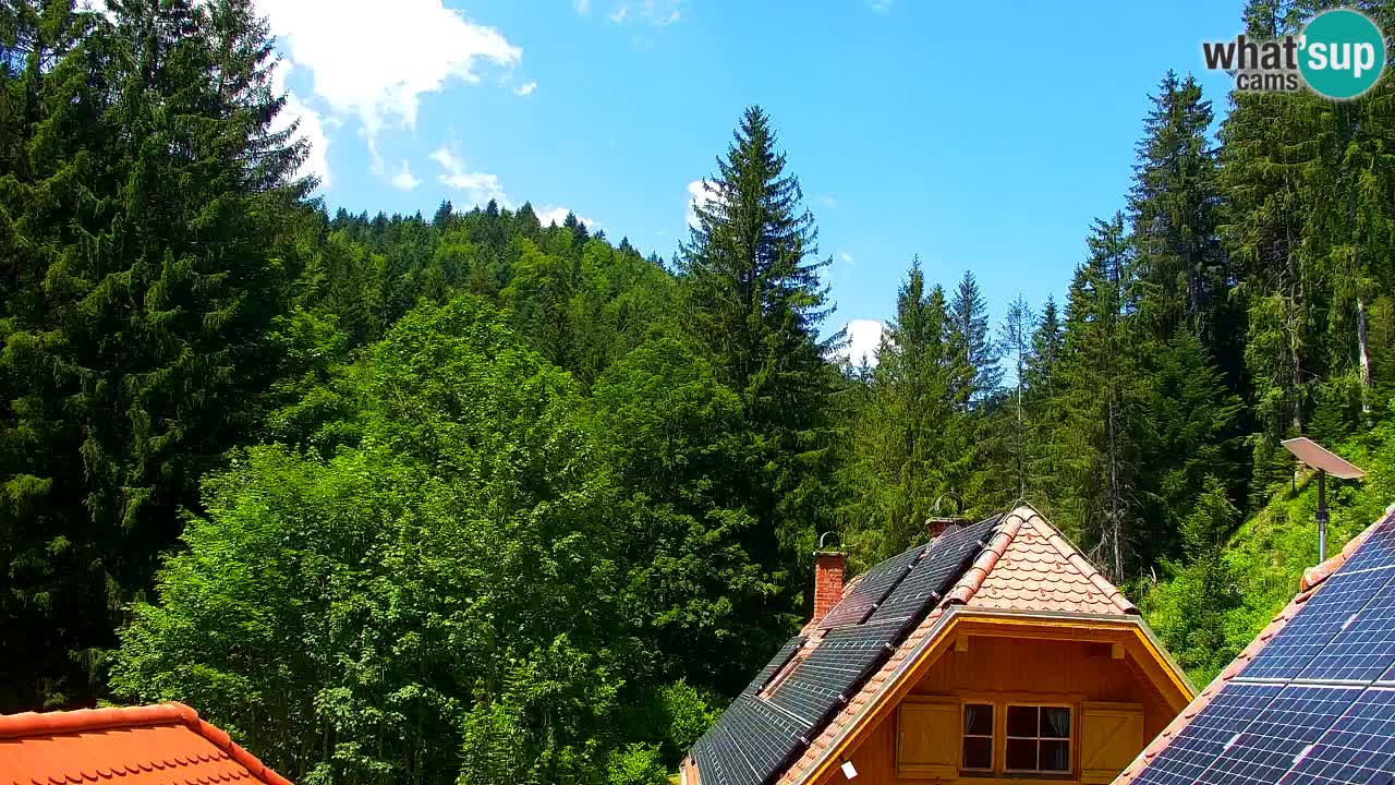 Webcam Lukanja – Water Village | Pohorje Houses