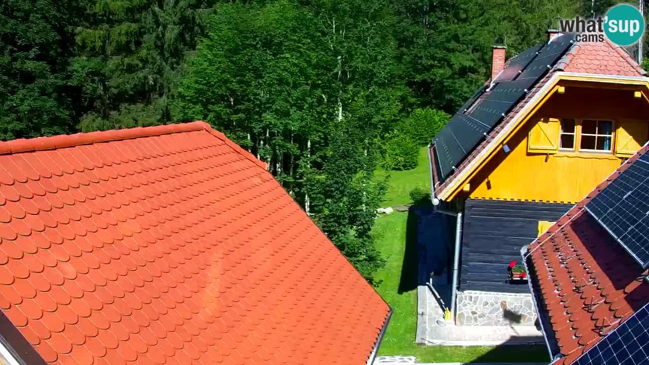 Webcam Lukanja – Pohorje houses a Water village
