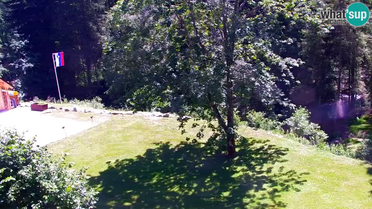 Spletna kamera Lukanja – Water Village | Pohorje Houses
