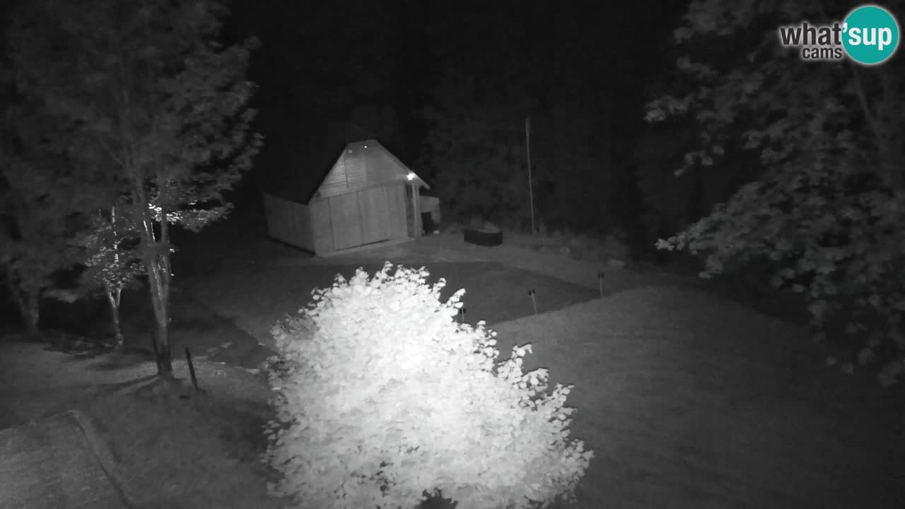 Webcam Lukanja – Pohorje houses a Water village