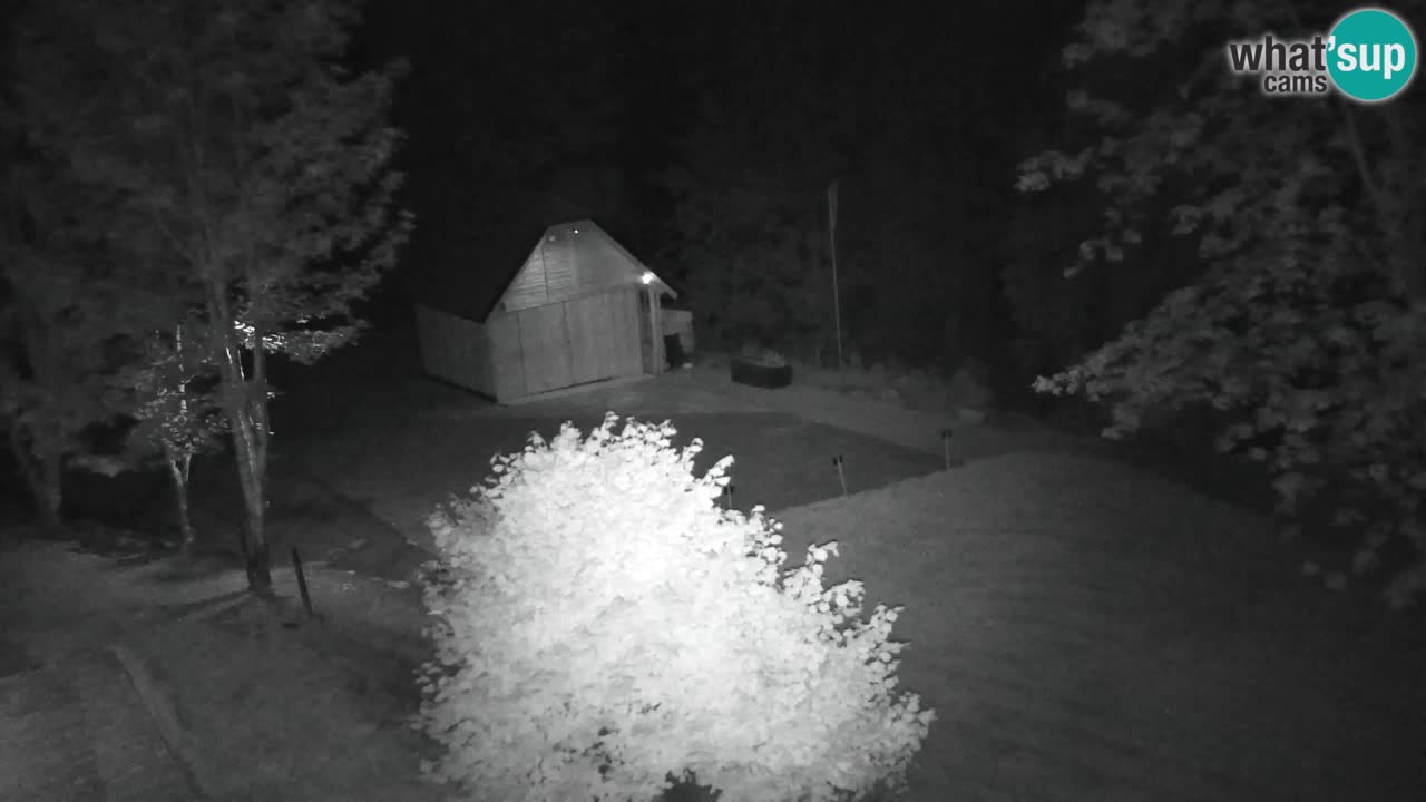 Webcam Lukanja – Pohorje houses a Water village