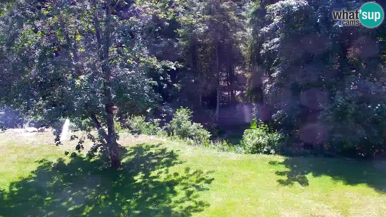 Webcam Lukanja – Water Village | Pohorje Houses