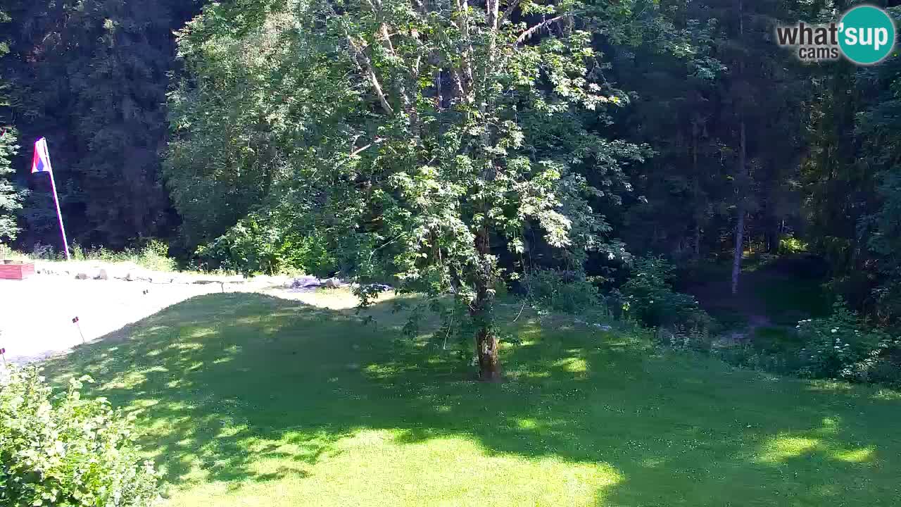 Web kamera Lukanja – Water Village | Pohorje Houses
