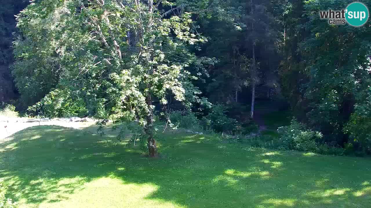 Webcam Lukanja – Water Village | Pohorje Houses