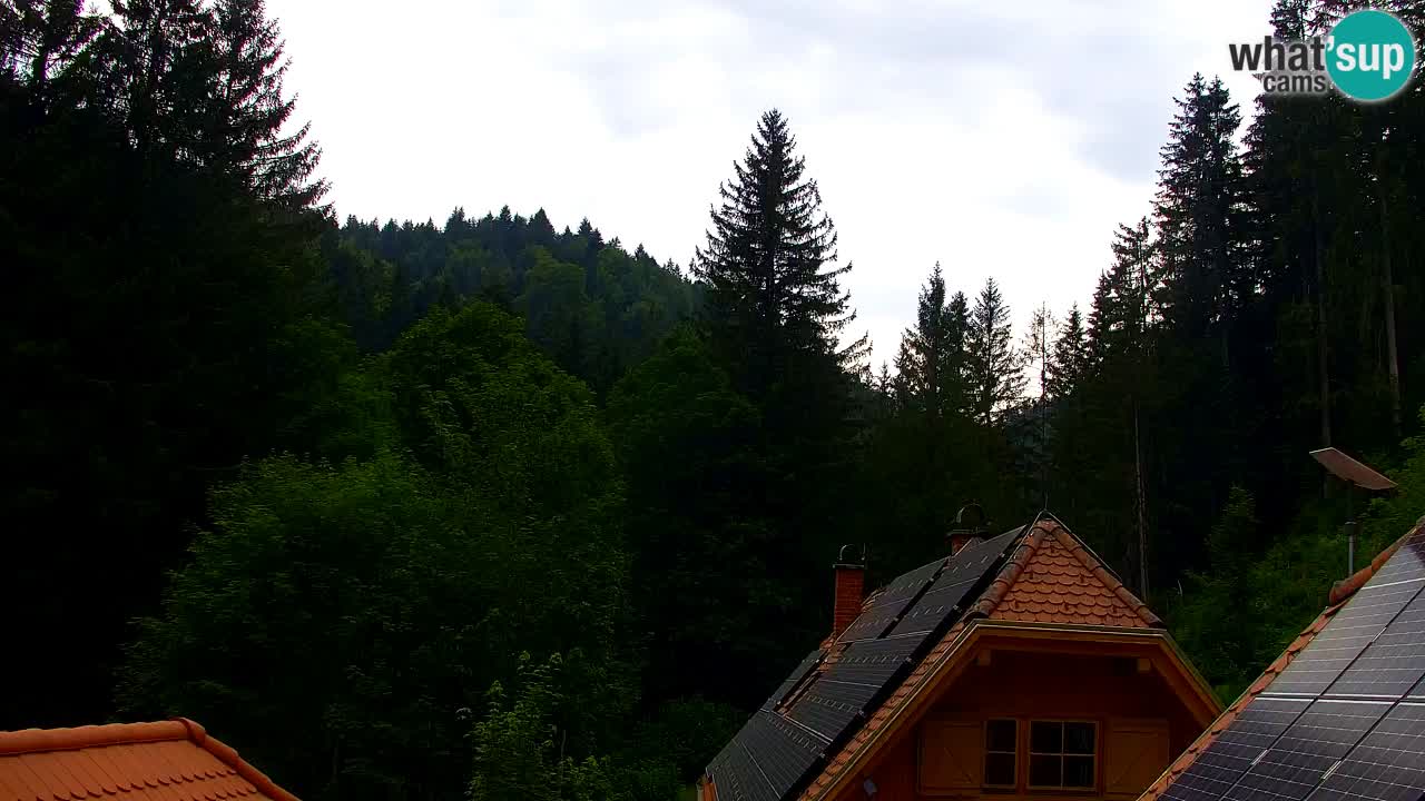 Webcam Lukanja – Water Village | Pohorje Houses
