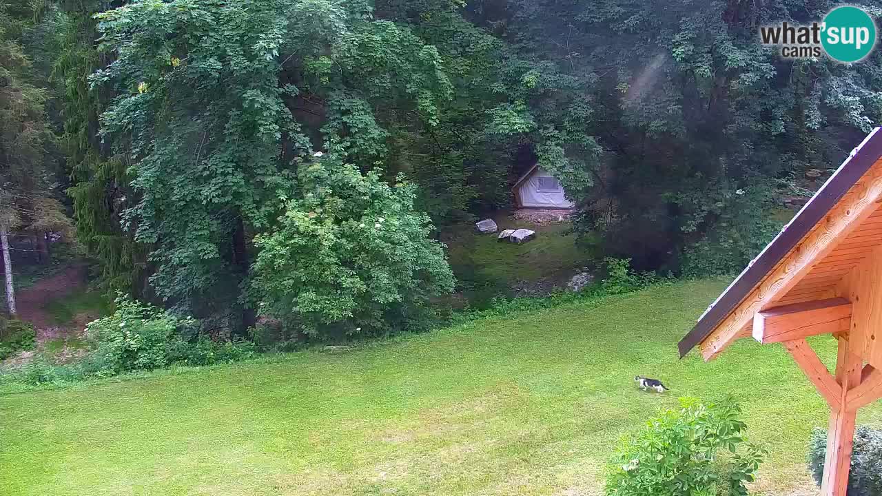 Spletna kamera Lukanja – Water Village | Pohorje Houses