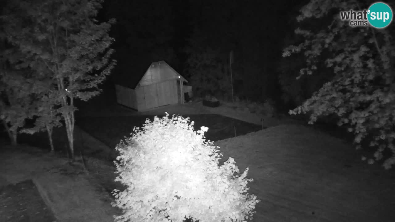 Webcam Lukanja – Pohorje houses a Water village