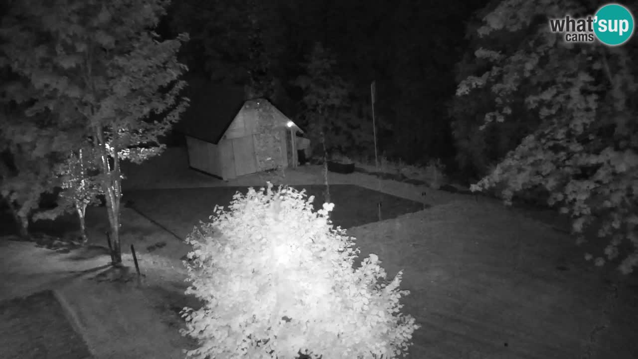 Webcam Lukanja – Water Village | Pohorje Houses