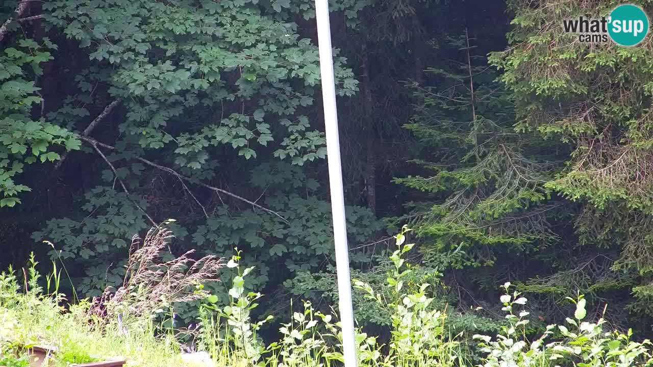 Webcam Lukanja – Pohorje houses a Water village