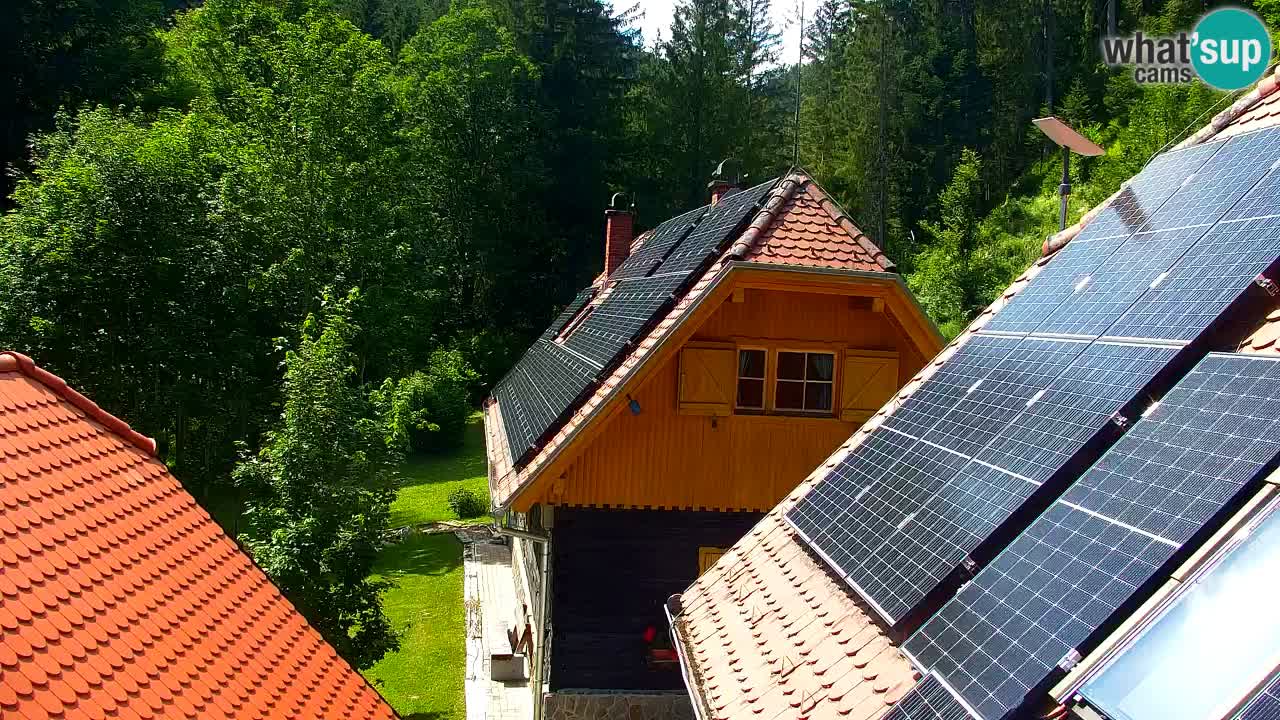 Webcam Lukanja – Pohorje houses a Water village