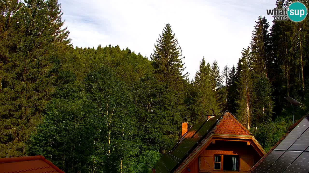 Webcam Lukanja – Water Village | Pohorje Houses
