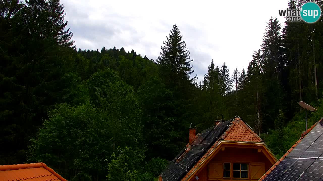 Webcam Lukanja – Water Village | Pohorje Houses