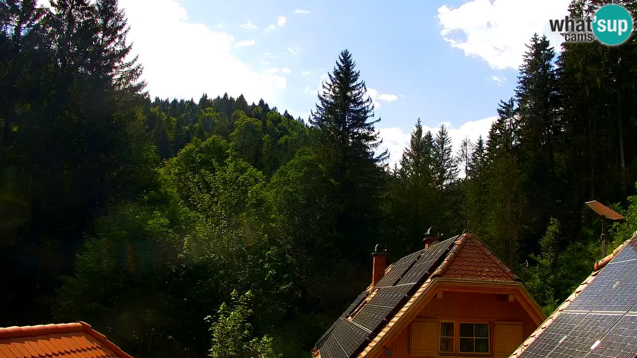 Webcam Lukanja – Water Village | Pohorje Houses