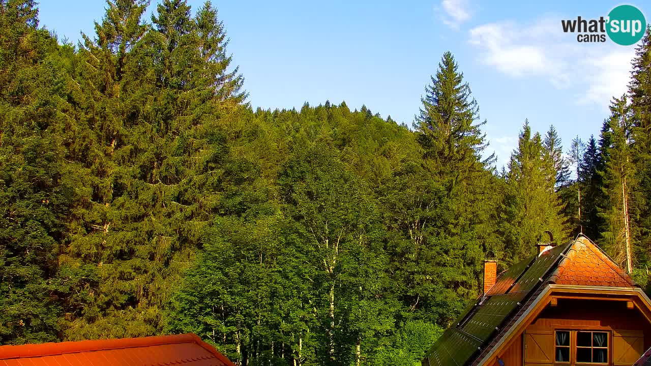 Webcam Lukanja – Water Village | Pohorje Houses