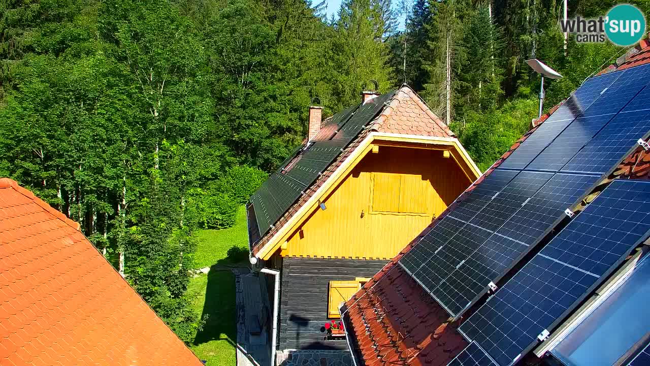 Webcam Lukanja – Pohorje houses a Water village