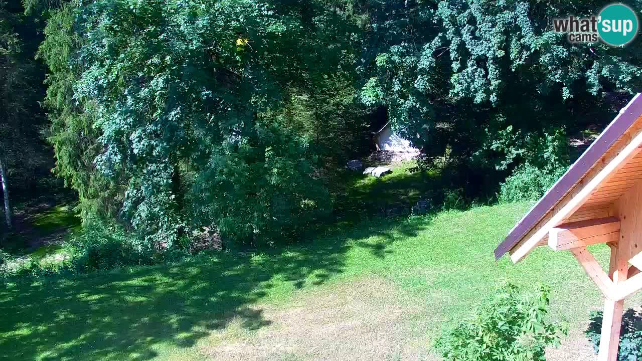 Webcam Lukanja – Pohorje houses a Water village