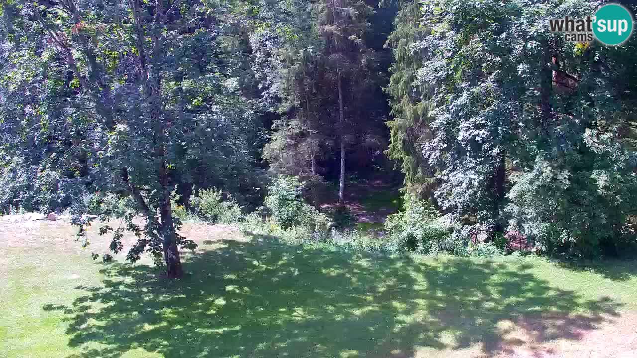 Webcam Lukanja – Water Village | Pohorje Houses