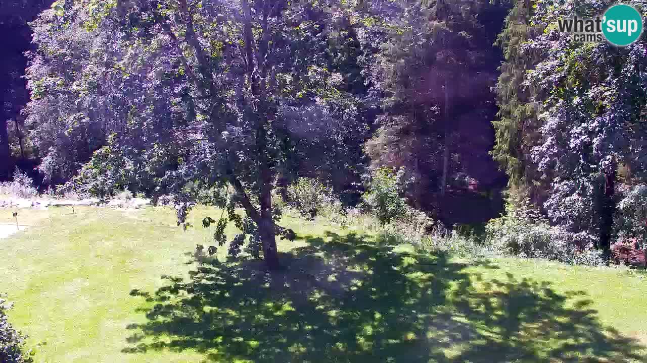 Webcam Lukanja – Water Village | Pohorje Houses