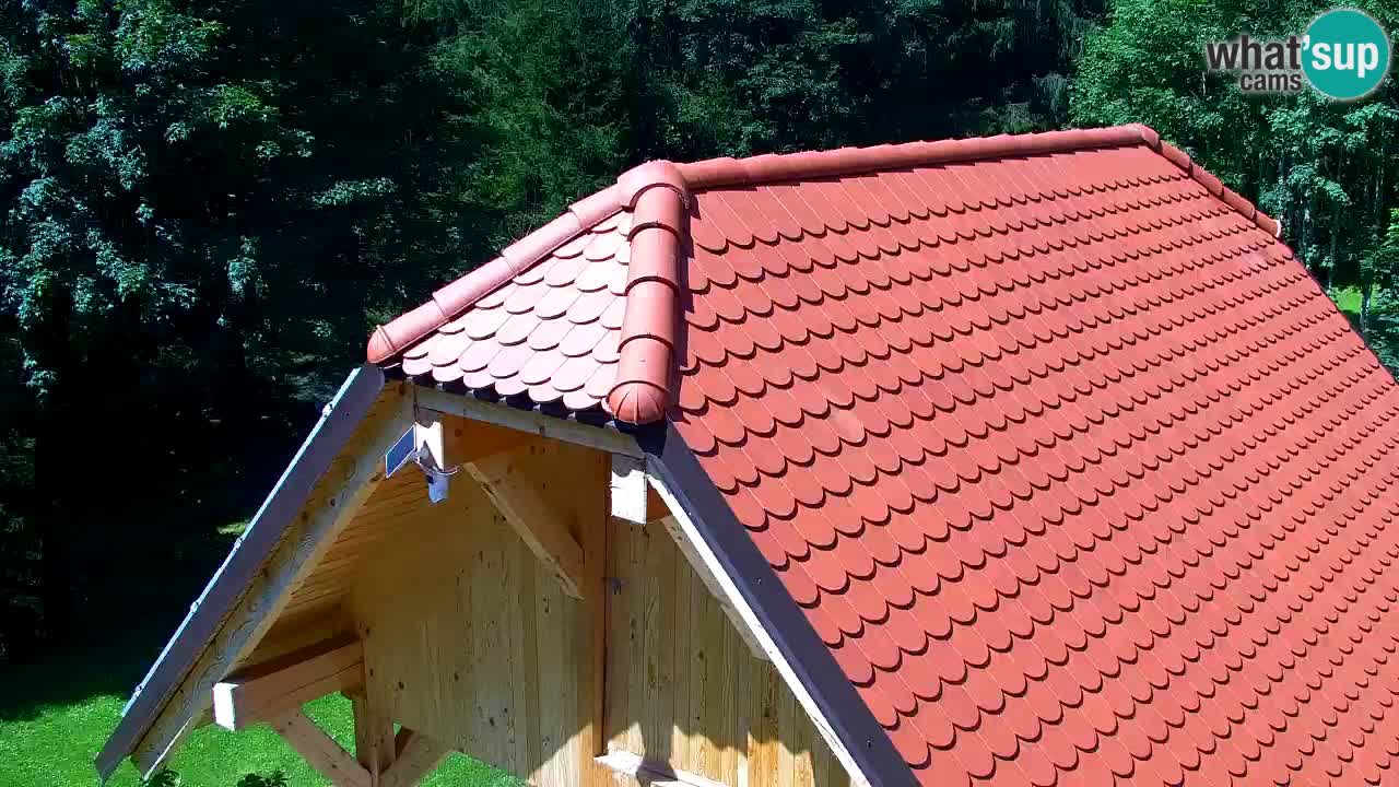 Webcam Lukanja – Water Village | Pohorje Houses
