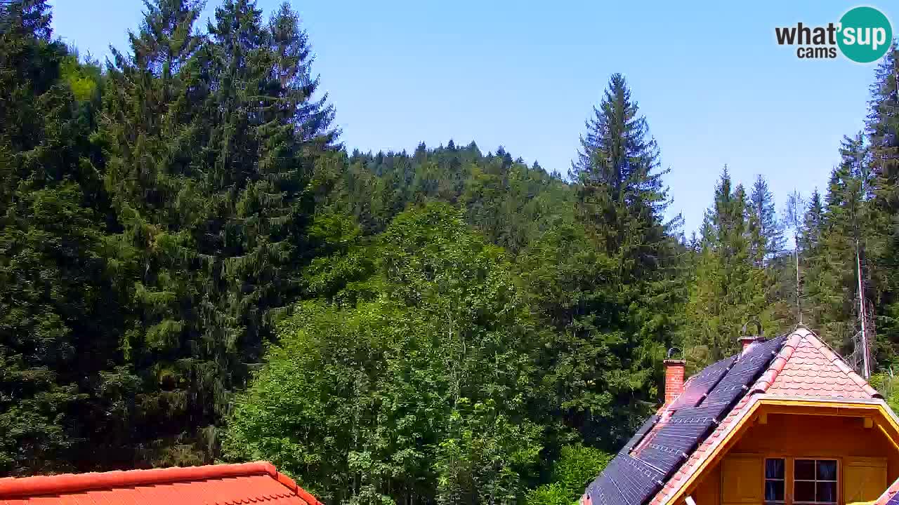 Web kamera Lukanja – Water Village | Pohorje Houses