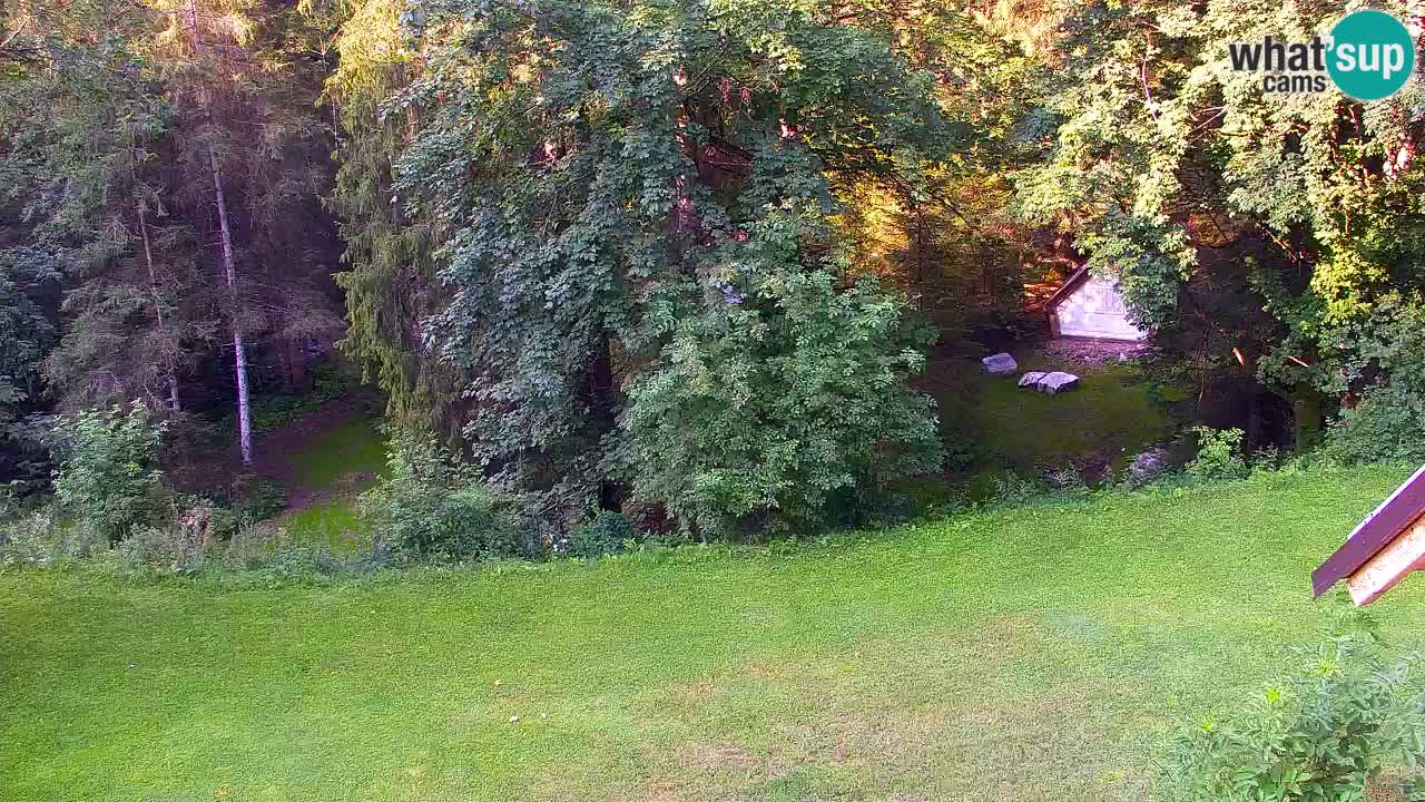 Webcam Lukanja – Pohorje houses a Water village