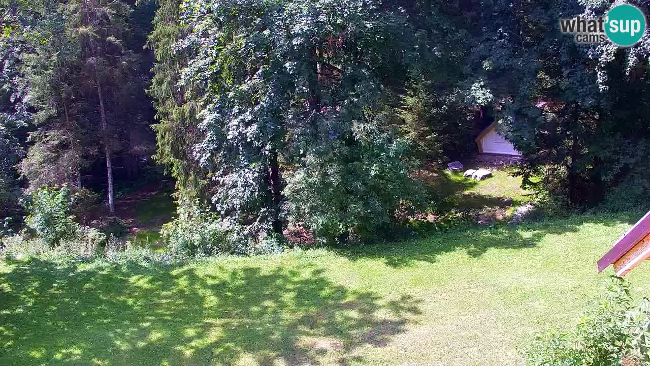 Webcam Lukanja – Water Village | Pohorje Houses