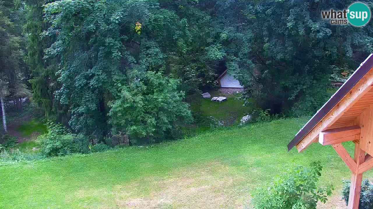 Webcam Lukanja – Pohorje houses a Water village