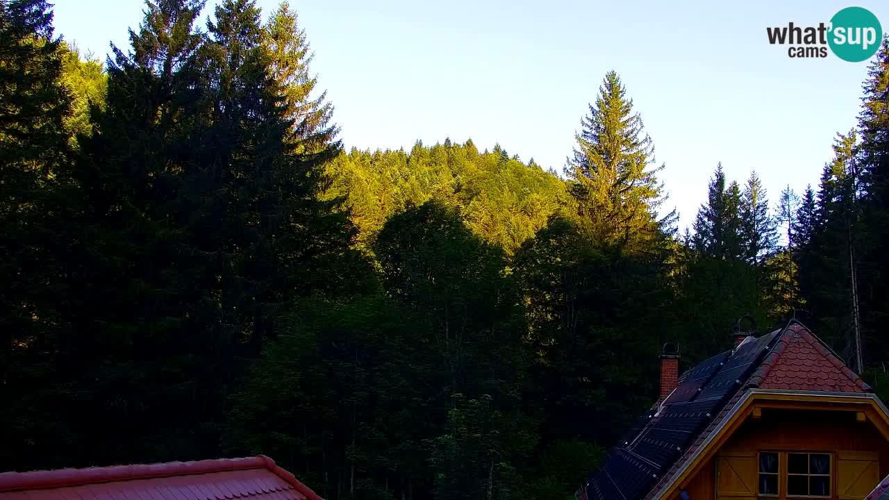 Webcam Lukanja – Water Village | Pohorje Houses