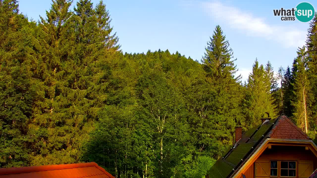 Webcam Lukanja – Pohorje houses a Water village