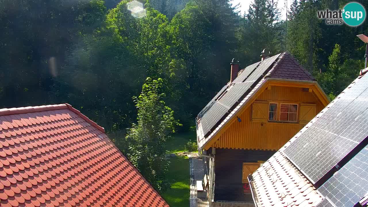 Webcam Lukanja – Water Village | Pohorje Houses