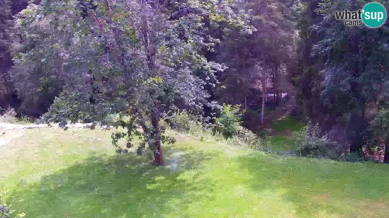 Spletna kamera Lukanja – Water Village | Pohorje Houses