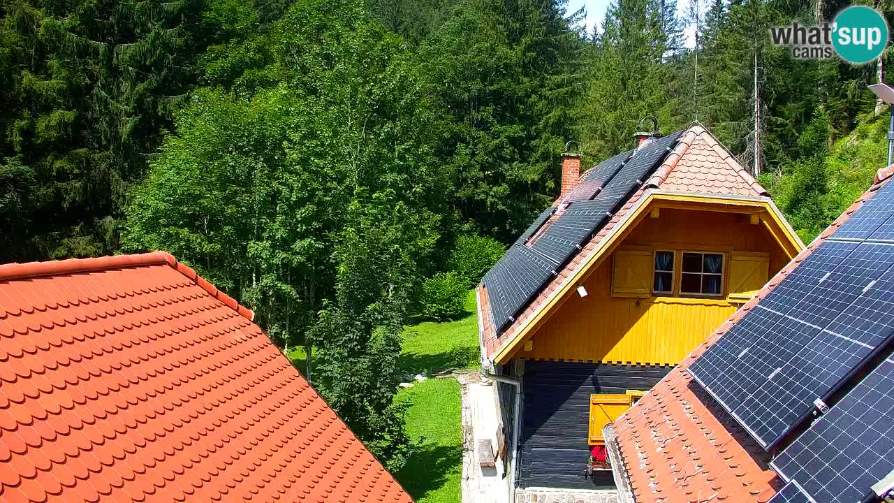 Webcam Lukanja – Water Village | Pohorje Houses