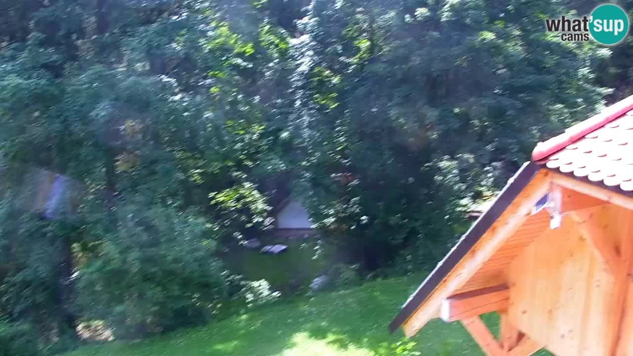 Webcam Lukanja – Water Village | Pohorje Houses