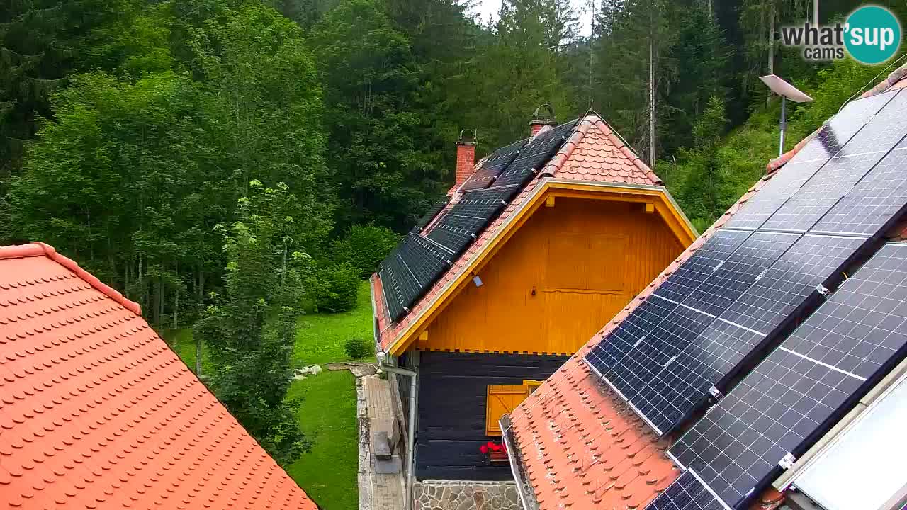 Webcam Lukanja – Water Village | Pohorje Houses
