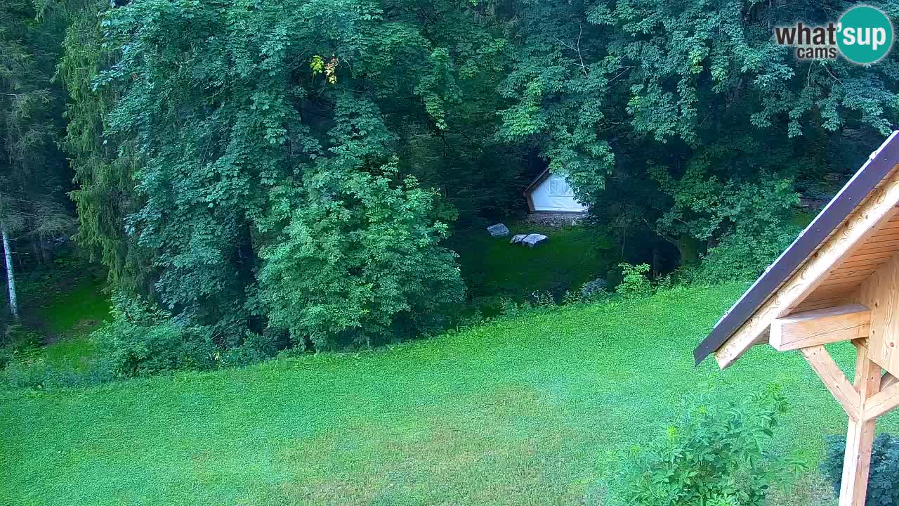 Webcam Lukanja – Water Village | Pohorje Houses