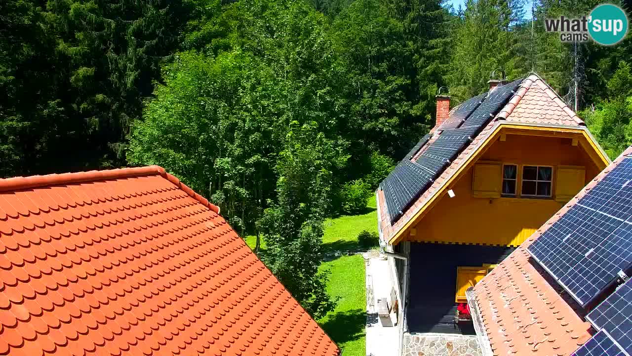 Web kamera Lukanja – Water Village | Pohorje Houses