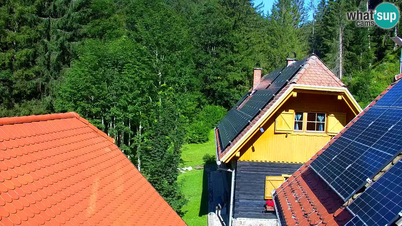 Webcam Lukanja – Water Village | Pohorje Houses