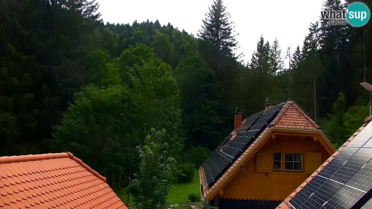 Webcam Lukanja – Water Village | Pohorje Houses