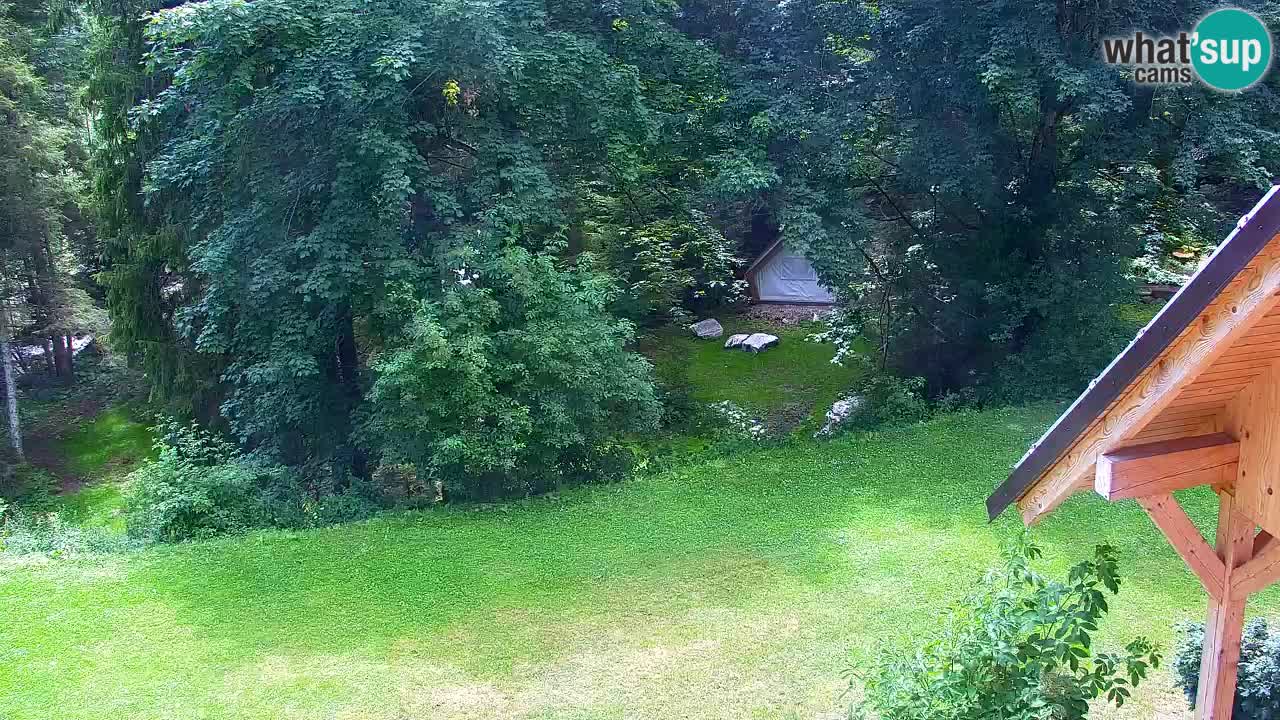 Webcam Lukanja – Water Village | Pohorje Houses