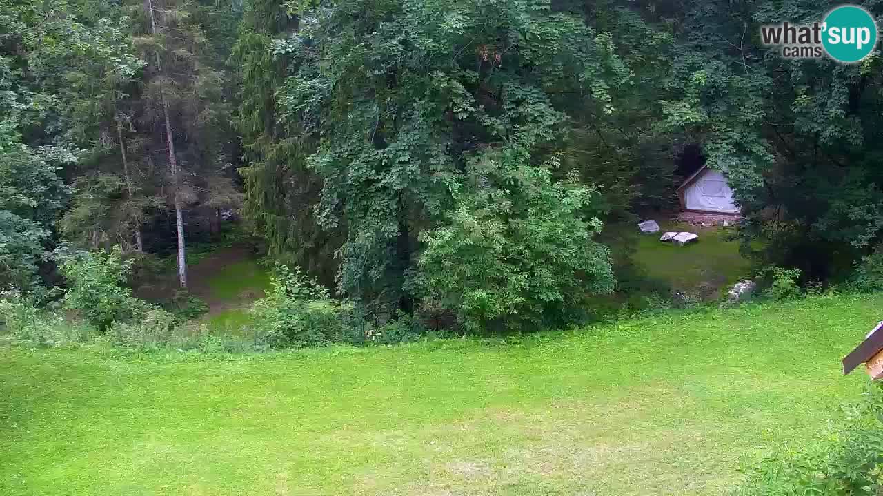 Webcam Lukanja – Water Village | Pohorje Houses